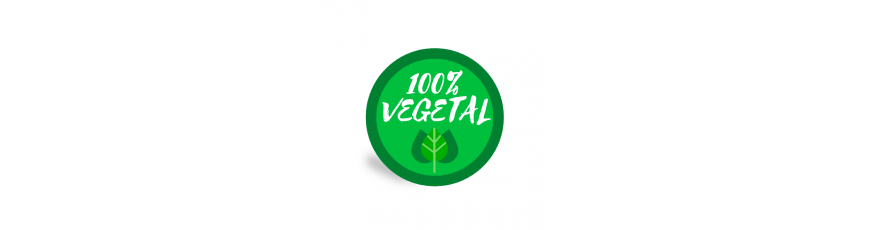Buy Spanish Artisanal Vegetarian Mantecados | Dulces Gamito